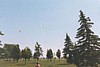 S_pic172.jpg