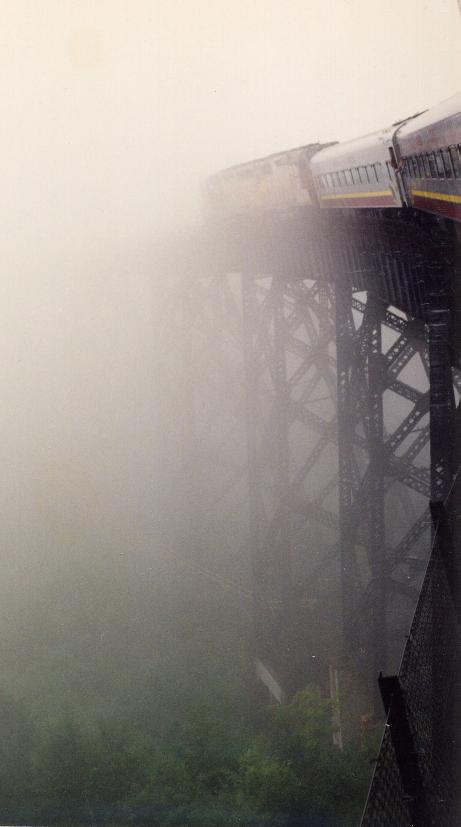 S_1010-IntoTheFog.jpg