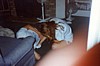 S_1500.jpg