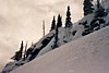 S_2910.jpg