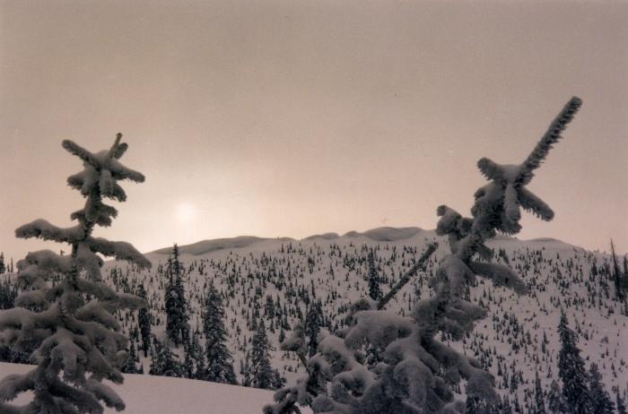 S_3100.jpg