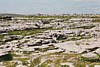 S_01670.jpg