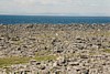 S_01750.jpg