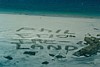 S_01840.jpg