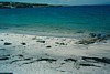 S_01860-WashedAway.jpg