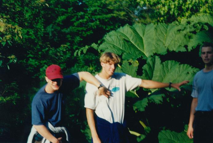 S_02310-BigPlant.jpg