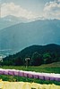 S_03510-PreparingChutes.jpg