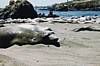 S_4049.jpg