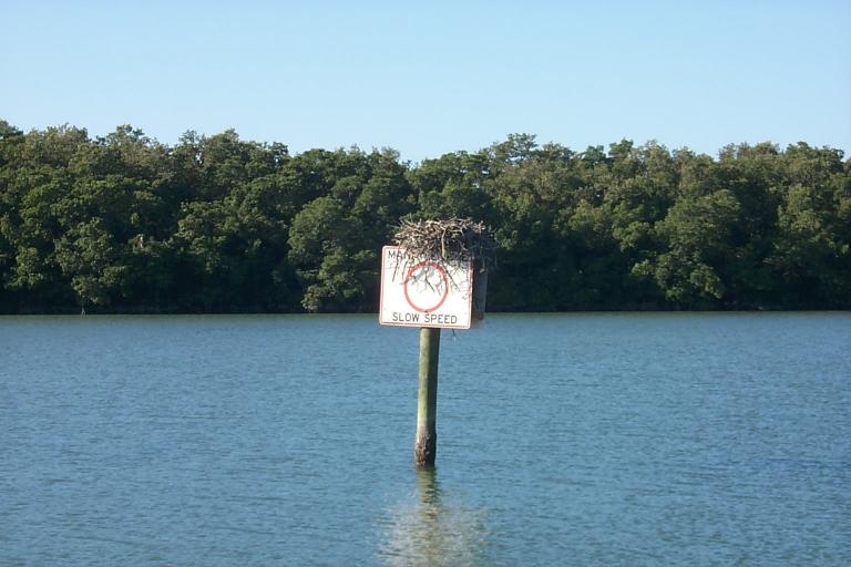 S_p0000344.jpg