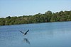 S_p0000318.jpg