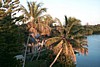 S_p0000362.jpg