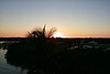 S_p0000366.jpg