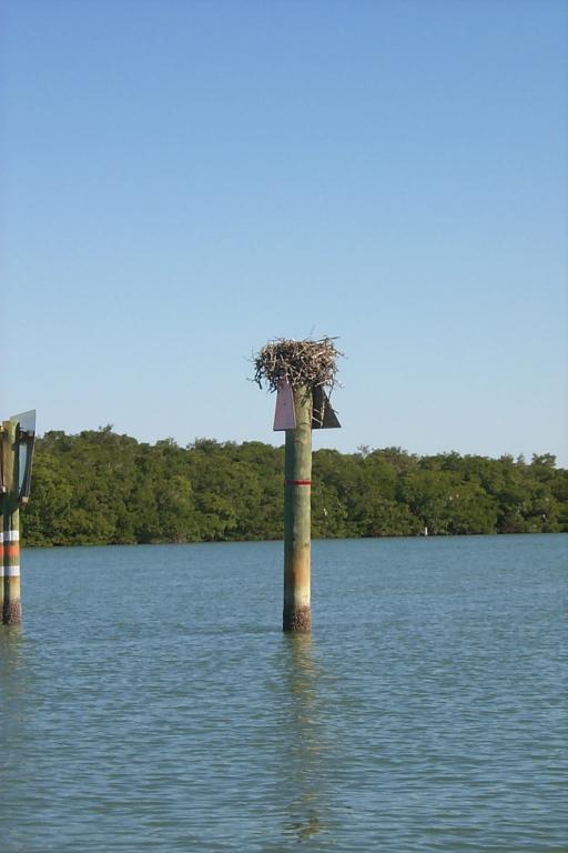 S_p0000432.jpg