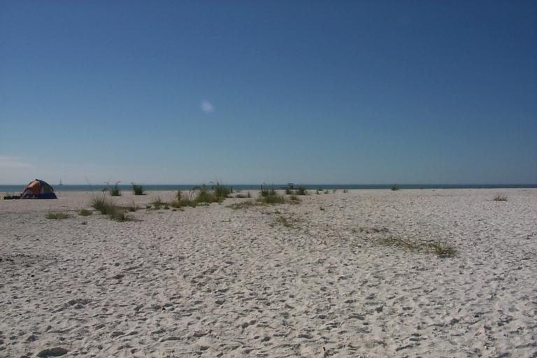 S_p0000462.jpg