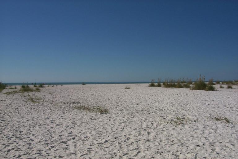 S_p0000463.jpg