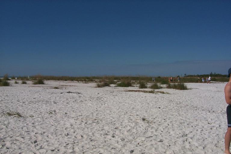 S_p0000465.jpg