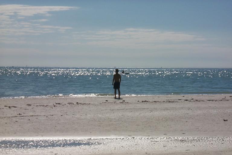 S_p0000484.jpg