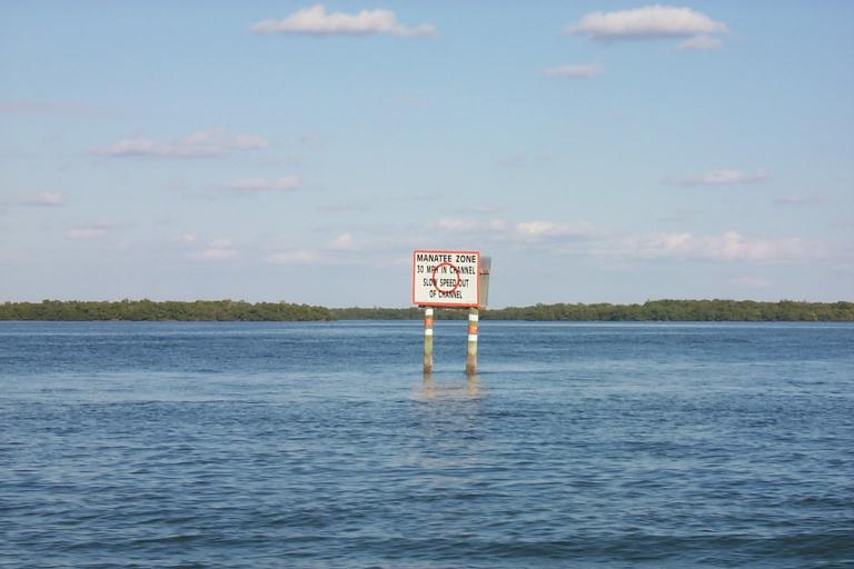S_p0000510.jpg