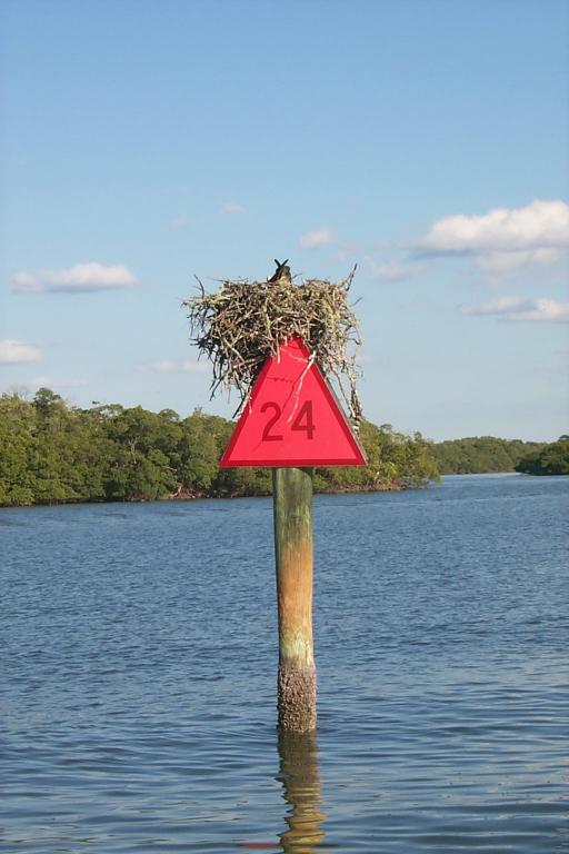 S_p0000512.jpg