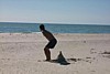 S_p0000486.jpg