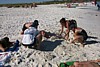 S_p0000492.jpg