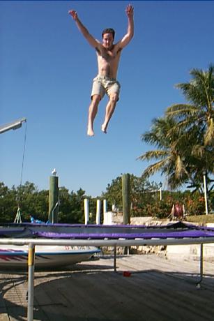 S_p0000738.jpg