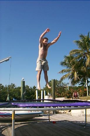 S_p0000749.jpg