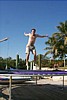 S_p0000739.jpg