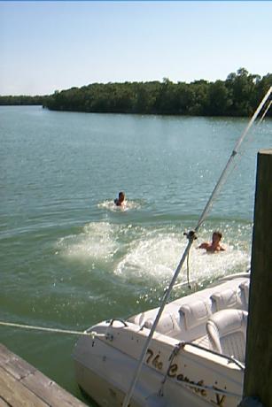S_p0000797.jpg