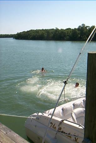 S_p0000799.jpg