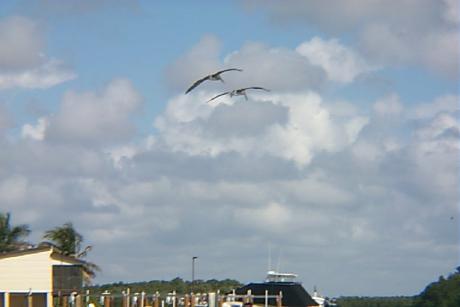 S_p0000894.jpg