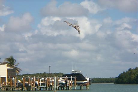 S_p0000896.jpg