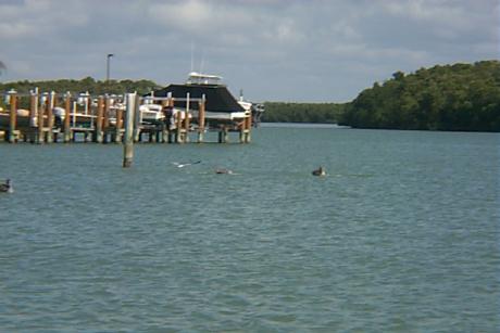 S_p0000905.jpg