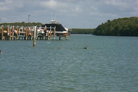 S_p0000906.jpg