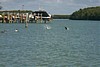 S_p0000900.jpg