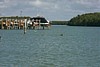 S_p0000906.jpg