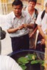 S_00330 - TEB Lotus Story.jpg