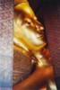 S_00480 - Wat Pho Buddha Laying Down.jpg