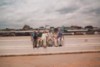 S_00650 - BKK Family @ River.jpg