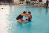 S_00790 - BKK Montien Hotel Chicken Fight.jpg
