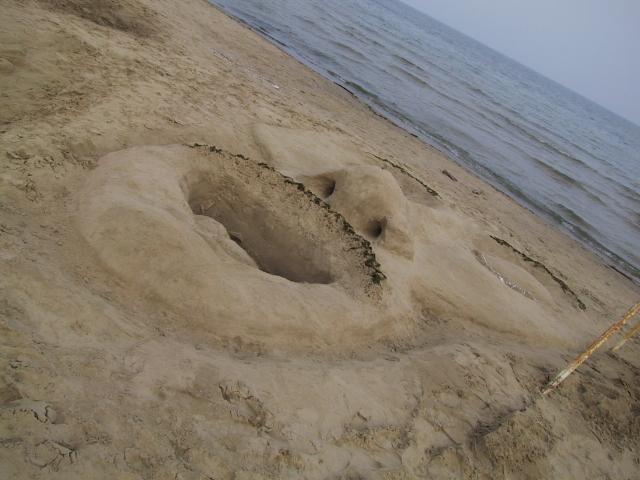 S_107-0738_IMG.JPG