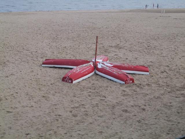S_107-0739_IMG.JPG