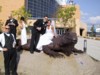 S_110-1041_IMG.JPG