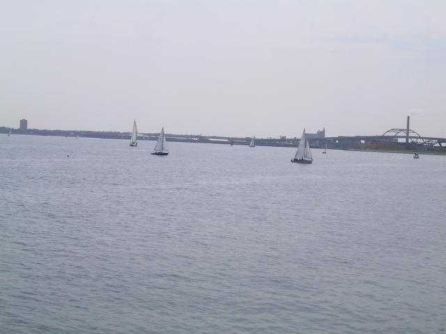 S_112-1222_IMG.JPG