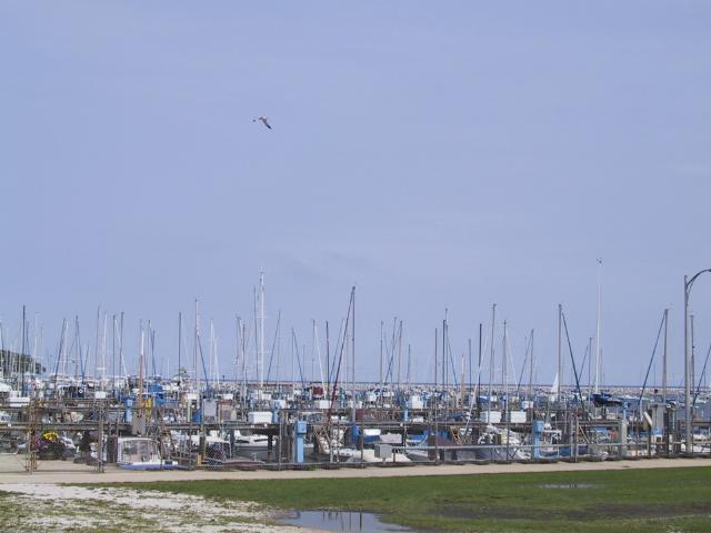 S_112-1230_IMG.JPG