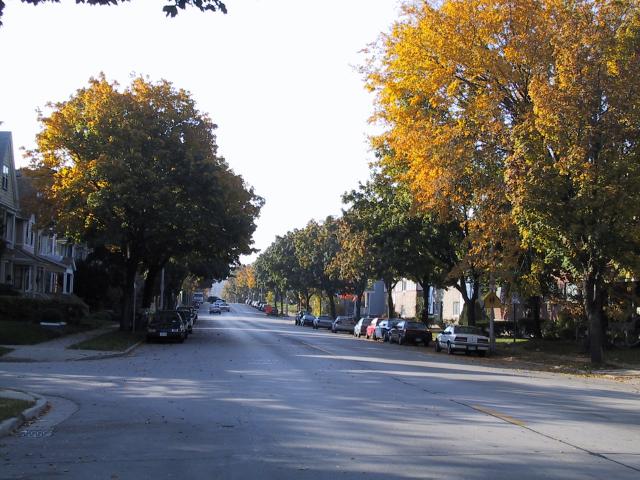 S_img_2096.jpg