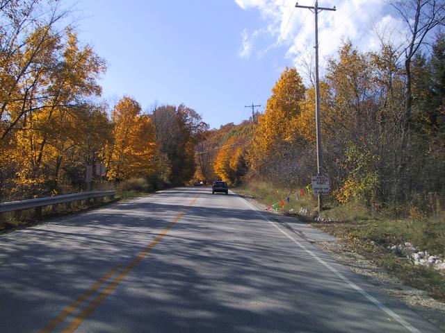S_img_1995.jpg