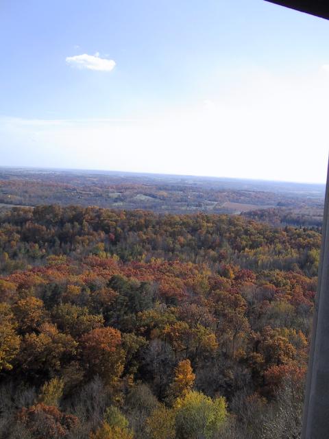 S_img_2003.jpg