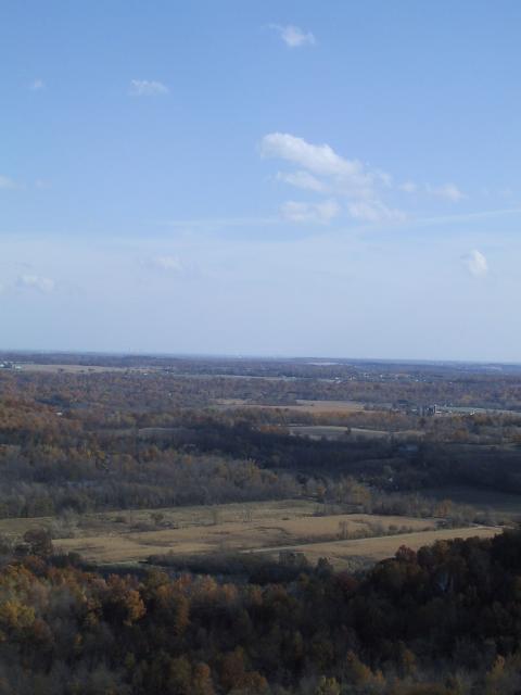 S_img_2037.jpg