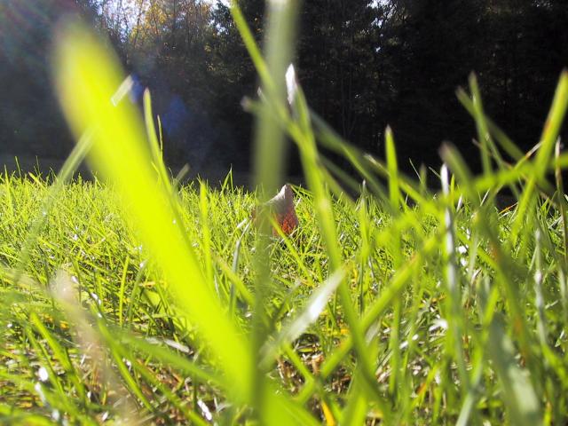 S_img_2057.jpg